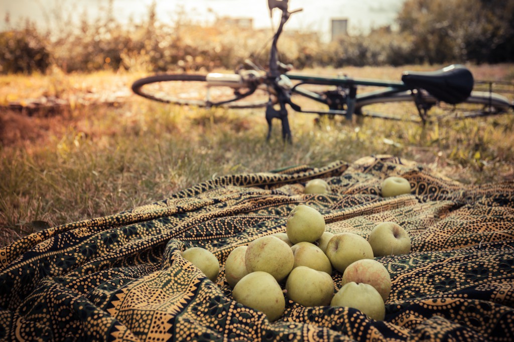 Apples on blanket outside with bike in background