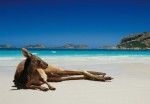 australia